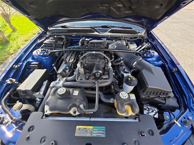 2007 Ford Mustang Shelby GT500 (CC-2070008) for sale in New Hartford, NY, New York
