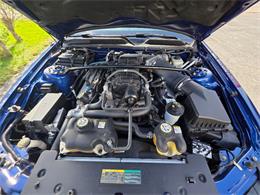 2007 Ford Mustang Shelby GT500 (CC-2070008) for sale in New Hartford, NY, New York