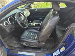 2007 Ford Mustang Shelby GT500 (CC-2070008) for sale in New Hartford, NY, New York