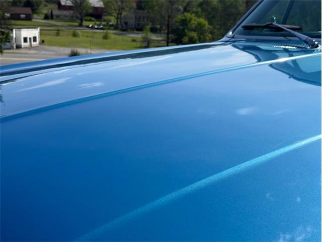 1965 Chevrolet Chevelle (CC-2070800) for sale in Orwigsburg, Pennsylvania