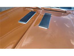 1972 Chevrolet Nova (CC-2078014) for sale in Sioux Falls, South Dakota