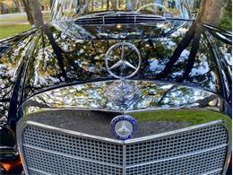 1967 Mercedes-Benz 250SE (CC-2070802) for sale in Orlando, Florida