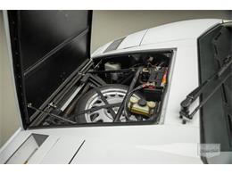 1989 Lamborghini Countach (CC-2078021) for sale in Auburn, Indiana