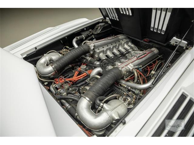 1989 Lamborghini Countach (CC-2078021) for sale in Auburn, Indiana