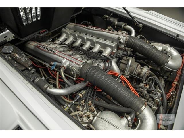 1989 Lamborghini Countach (CC-2078021) for sale in Auburn, Indiana