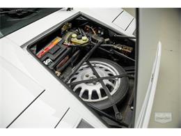 1989 Lamborghini Countach (CC-2078021) for sale in Auburn, Indiana