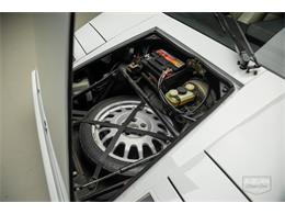 1989 Lamborghini Countach (CC-2078021) for sale in Auburn, Indiana