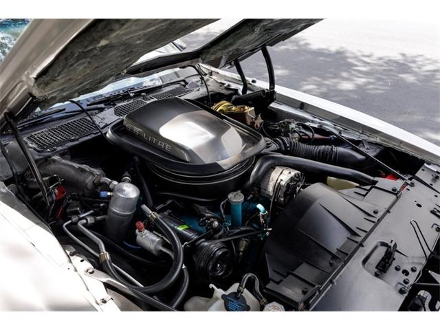 1979 Pontiac Firebird Trans Am (CC-2070806) for sale in Orlando, Florida