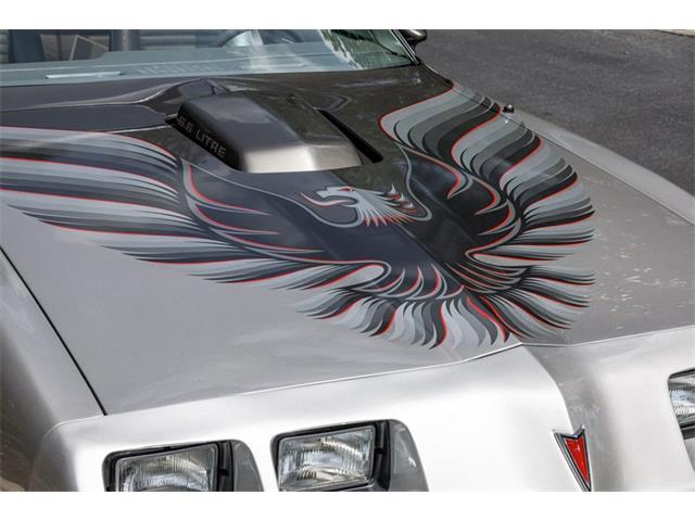 1979 Pontiac Firebird Trans Am (CC-2070806) for sale in Orlando, Florida