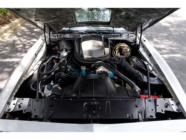 1979 Pontiac Firebird Trans Am (CC-2070806) for sale in Orlando, Florida