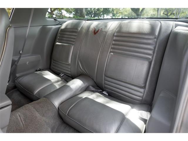 1979 Pontiac Firebird Trans Am (CC-2070806) for sale in Orlando, Florida