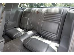 1979 Pontiac Firebird Trans Am (CC-2070806) for sale in Orlando, Florida