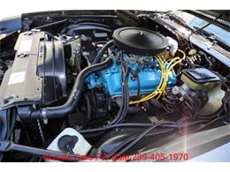 1981 Chevrolet Camaro (CC-2070807) for sale in Fort Myers, Florida