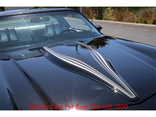 1981 Chevrolet Camaro (CC-2070807) for sale in Fort Myers, Florida