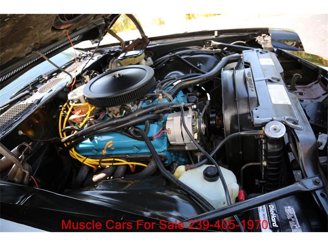 1981 Chevrolet Camaro (CC-2070807) for sale in Fort Myers, Florida