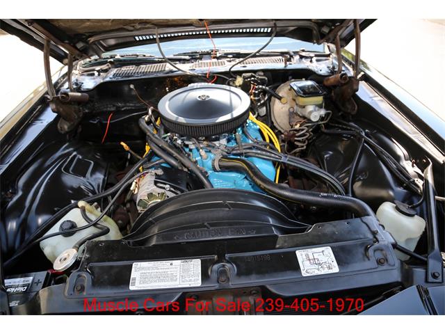 1981 Chevrolet Camaro (CC-2070807) for sale in Fort Myers, Florida