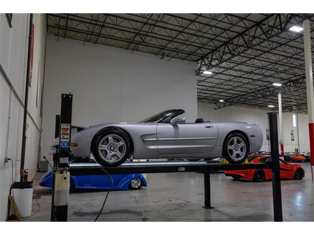 1999 Chevrolet Corvette (CC-2078095) for sale in Kentwood, Michigan
