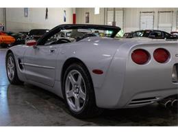 1999 Chevrolet Corvette (CC-2078095) for sale in Kentwood, Michigan