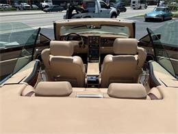 1999 Bentley Azure (CC-2070810) for sale in Fort Lauderdale, Florida