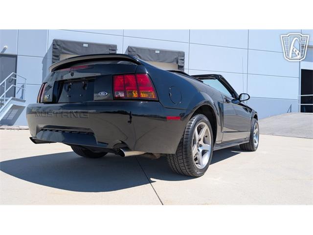 1999 Ford Mustang SVT Cobra (CC-2078127) for sale in Caledonia, Wisconsin