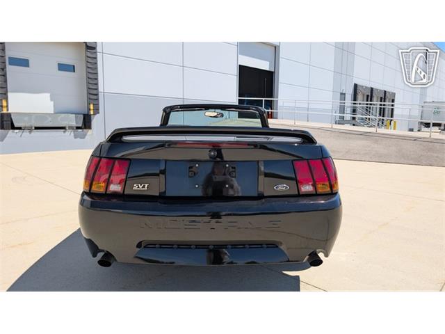 1999 Ford Mustang SVT Cobra (CC-2078127) for sale in Caledonia, Wisconsin