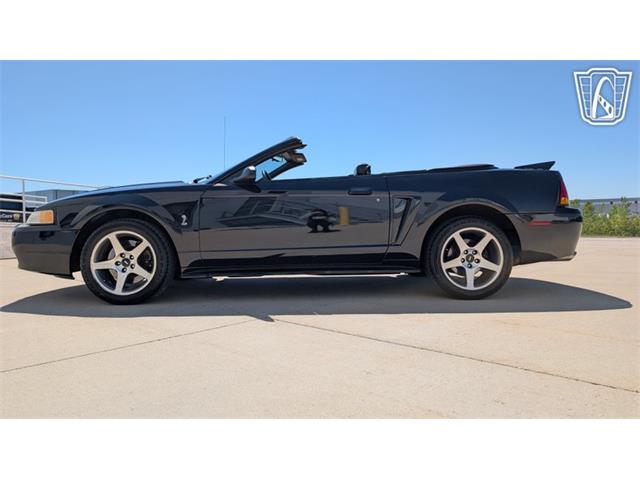 1999 Ford Mustang SVT Cobra (CC-2078127) for sale in Caledonia, Wisconsin