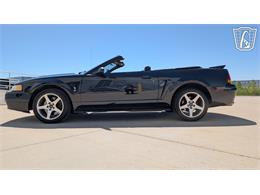 1999 Ford Mustang SVT Cobra (CC-2078127) for sale in Caledonia, Wisconsin