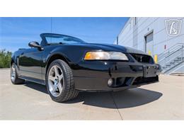 1999 Ford Mustang SVT Cobra (CC-2078127) for sale in Caledonia, Wisconsin