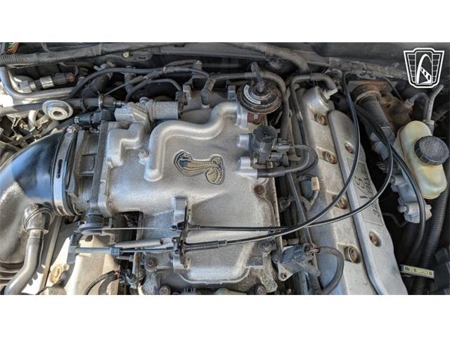 1999 Ford Mustang SVT Cobra (CC-2078127) for sale in Caledonia, Wisconsin