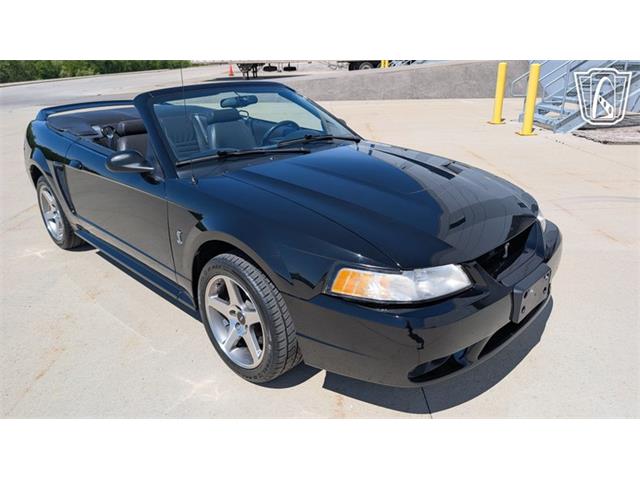 1999 Ford Mustang SVT Cobra (CC-2078127) for sale in Caledonia, Wisconsin