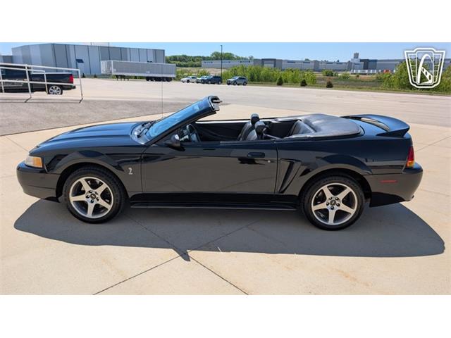 1999 Ford Mustang SVT Cobra (CC-2078127) for sale in Caledonia, Wisconsin
