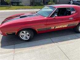 1973 Ford Mustang (CC-2078144) for sale in Cadillac, Michigan