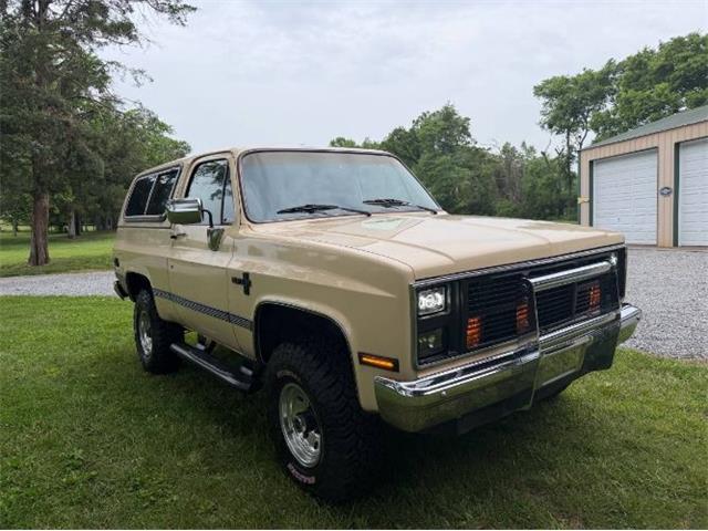 1986 Chevrolet Blazer (CC-2078146) for sale in Cadillac, Michigan