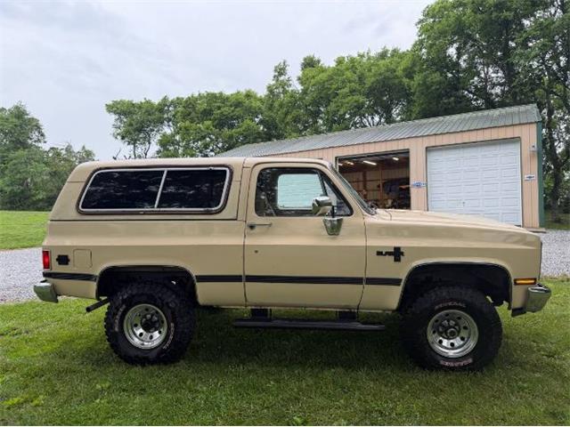 1986 Chevrolet Blazer (CC-2078146) for sale in Cadillac, Michigan