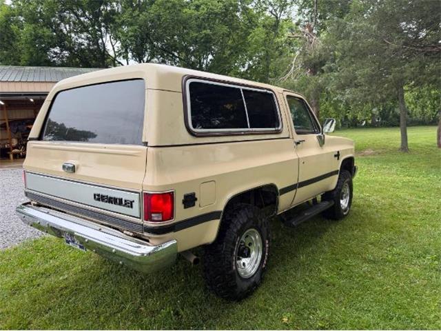 1986 Chevrolet Blazer (CC-2078146) for sale in Cadillac, Michigan