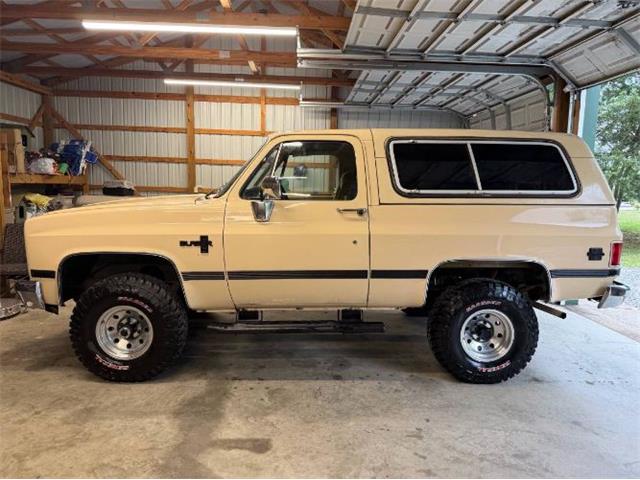 1986 Chevrolet Blazer (CC-2078146) for sale in Cadillac, Michigan