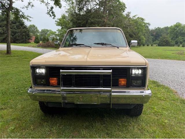1986 Chevrolet Blazer (CC-2078146) for sale in Cadillac, Michigan