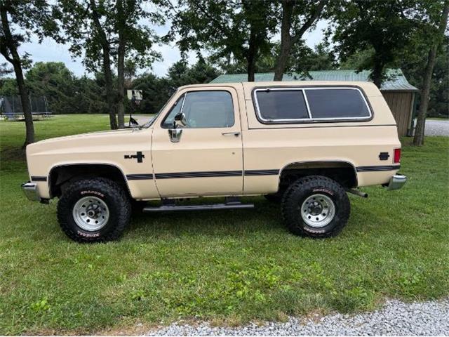 1986 Chevrolet Blazer (CC-2078146) for sale in Cadillac, Michigan