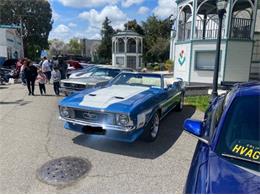1973 Ford Mustang (CC-2078147) for sale in Cadillac, Michigan