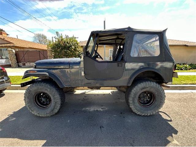 1984 Jeep CJ7 (CC-2078163) for sale in Cadillac, Michigan