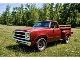 1980 Dodge D150 (CC-2078175) for sale in Cadillac, Michigan