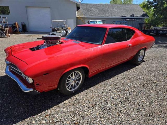 1969 Chevrolet Chevelle (CC-2078180) for sale in Cadillac, Michigan