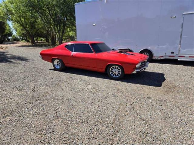 1969 Chevrolet Chevelle (CC-2078180) for sale in Cadillac, Michigan