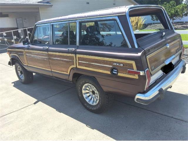 1989 Jeep Grand Wagoneer (CC-2078183) for sale in Cadillac, Michigan