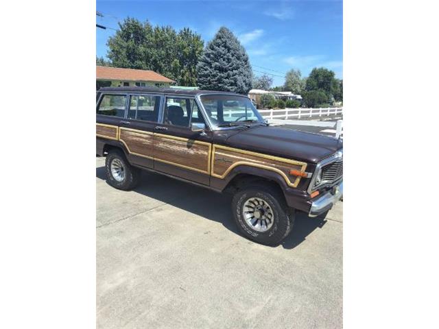 1989 Jeep Grand Wagoneer (CC-2078183) for sale in Cadillac, Michigan