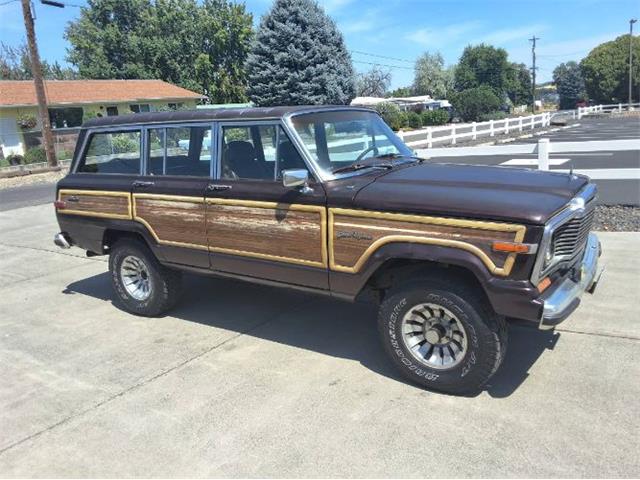 1989 Jeep Grand Wagoneer (CC-2078183) for sale in Cadillac, Michigan