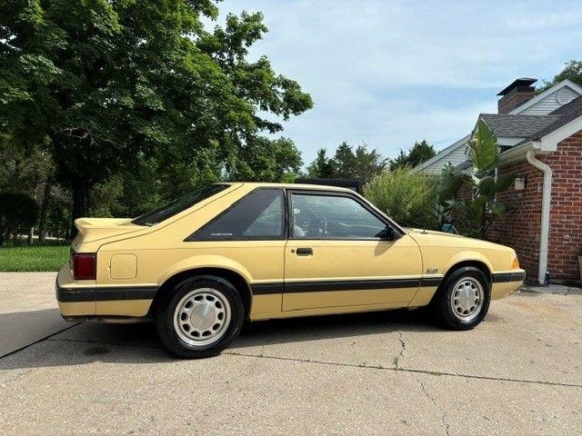 1987 Ford Mustang (CC-2078197) for sale in Greensboro, North Carolina