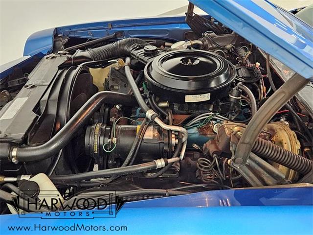 1978 Chevrolet Camaro (CC-2070082) for sale in Cleveland, Ohio