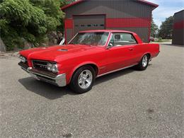 1964 Pontiac GTO (CC-2078224) for sale in Annandale, Minnesota