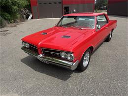 1964 Pontiac GTO (CC-2078224) for sale in Annandale, Minnesota